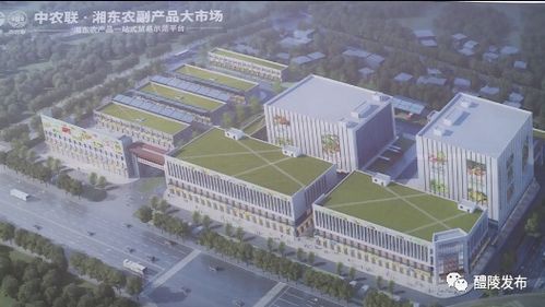 晴天好施工 中農(nóng)聯(lián) 湘東農(nóng)副產(chǎn)品大市場項(xiàng)目全力推進(jìn)